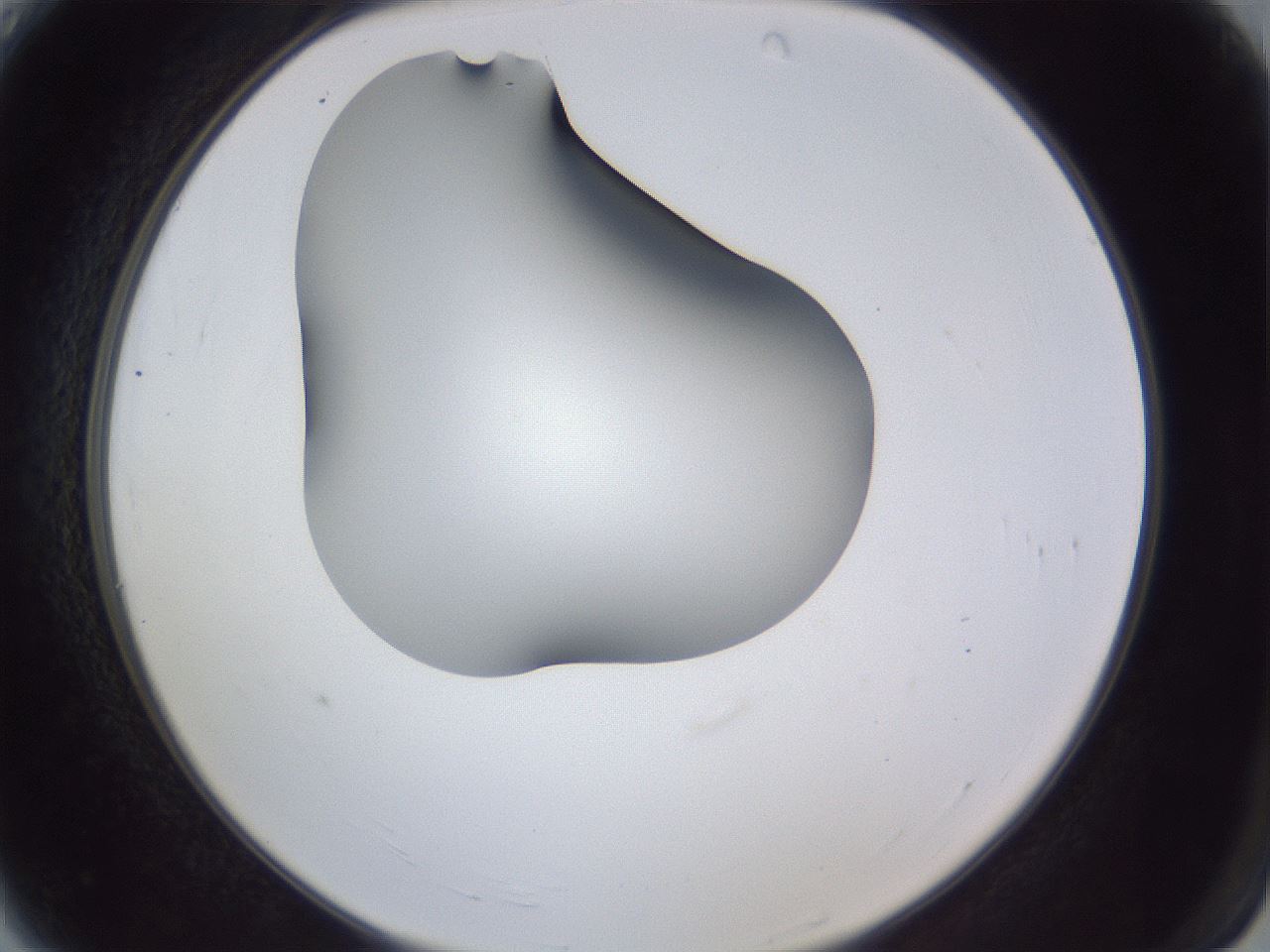 folderID42_plateID1042_batchID2099_wellNum4_profileID1_d2_r45775_ef.jpg