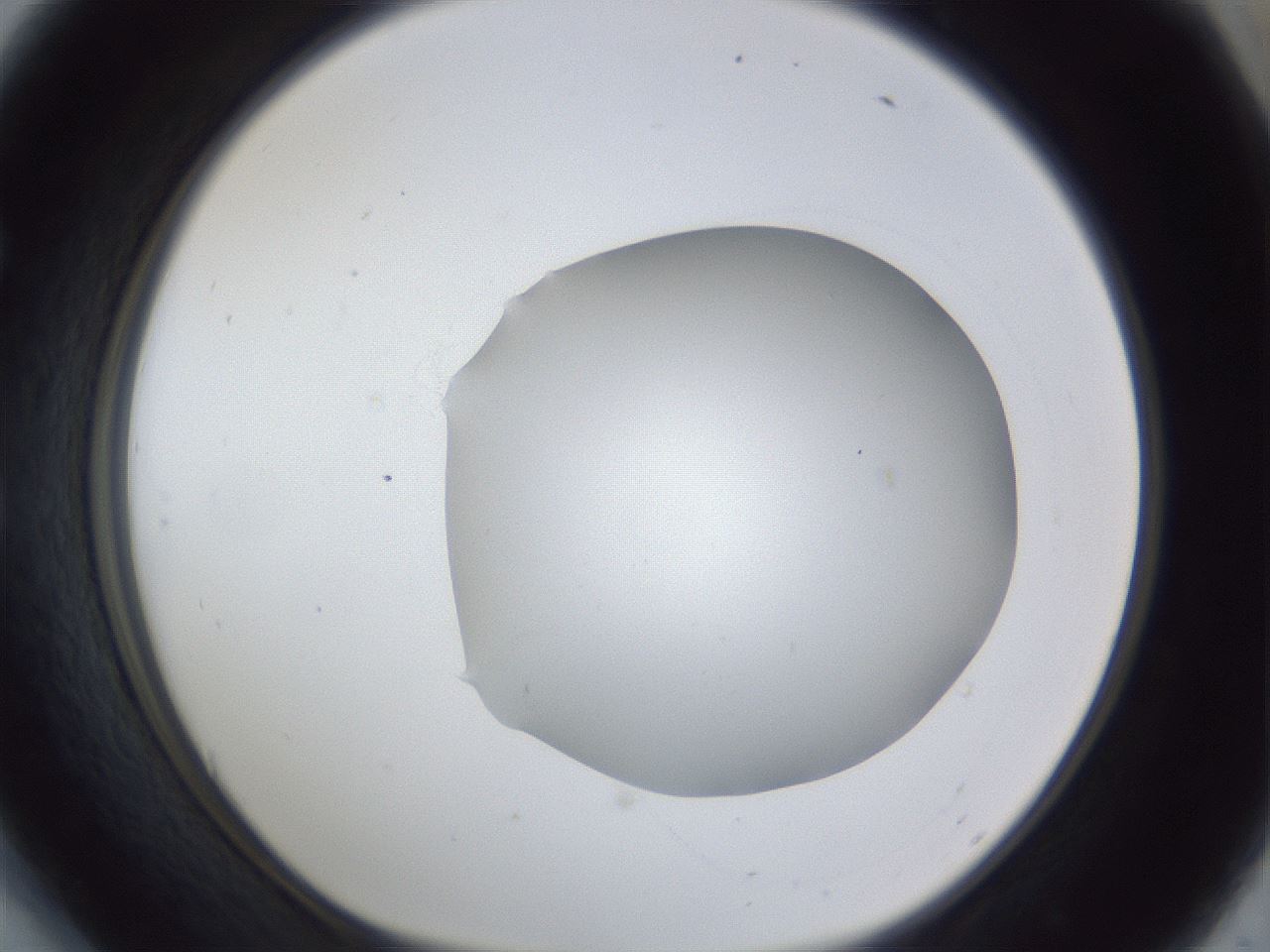 folderID42_plateID1042_batchID2099_wellNum54_profileID1_d1_r45874_ef.jpg