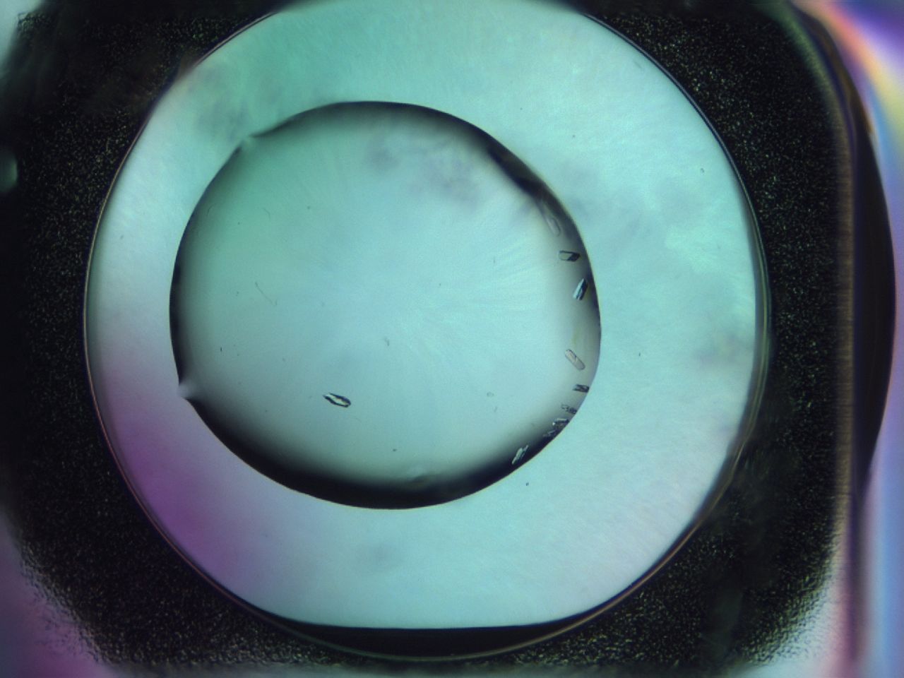 02n3_F4_ImagerDefaults_9.jpg