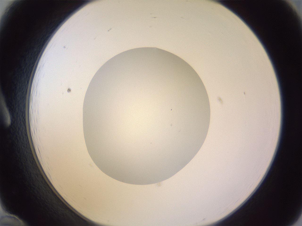 folderID423_plateID1423_batchID5198_wellNum12_profileID1_d1_r87485_ef.jpg