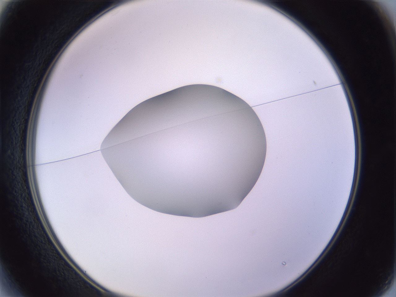 folderID423_plateID1423_batchID5198_wellNum13_profileID1_d1_r87486_ef.jpg