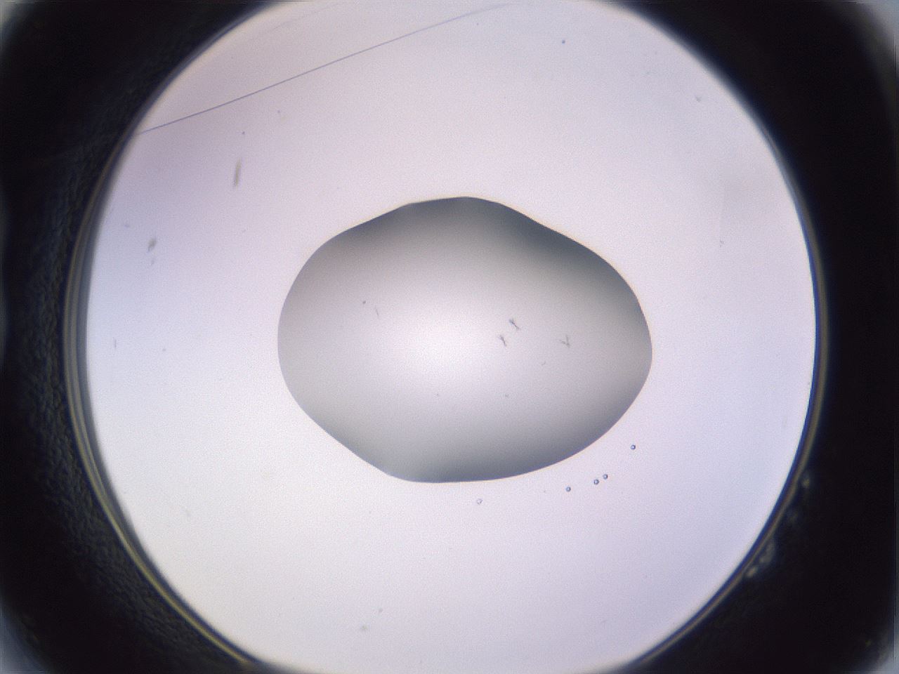 folderID423_plateID1423_batchID5198_wellNum14_profileID1_d1_r87487_ef.jpg
