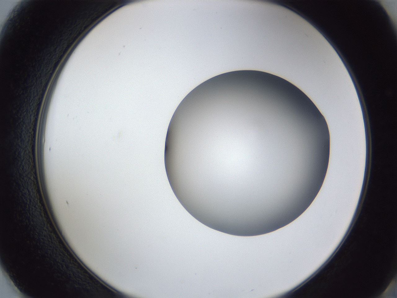 folderID42_plateID1042_batchID2099_wellNum61_profileID1_d2_r45889_ef.jpg