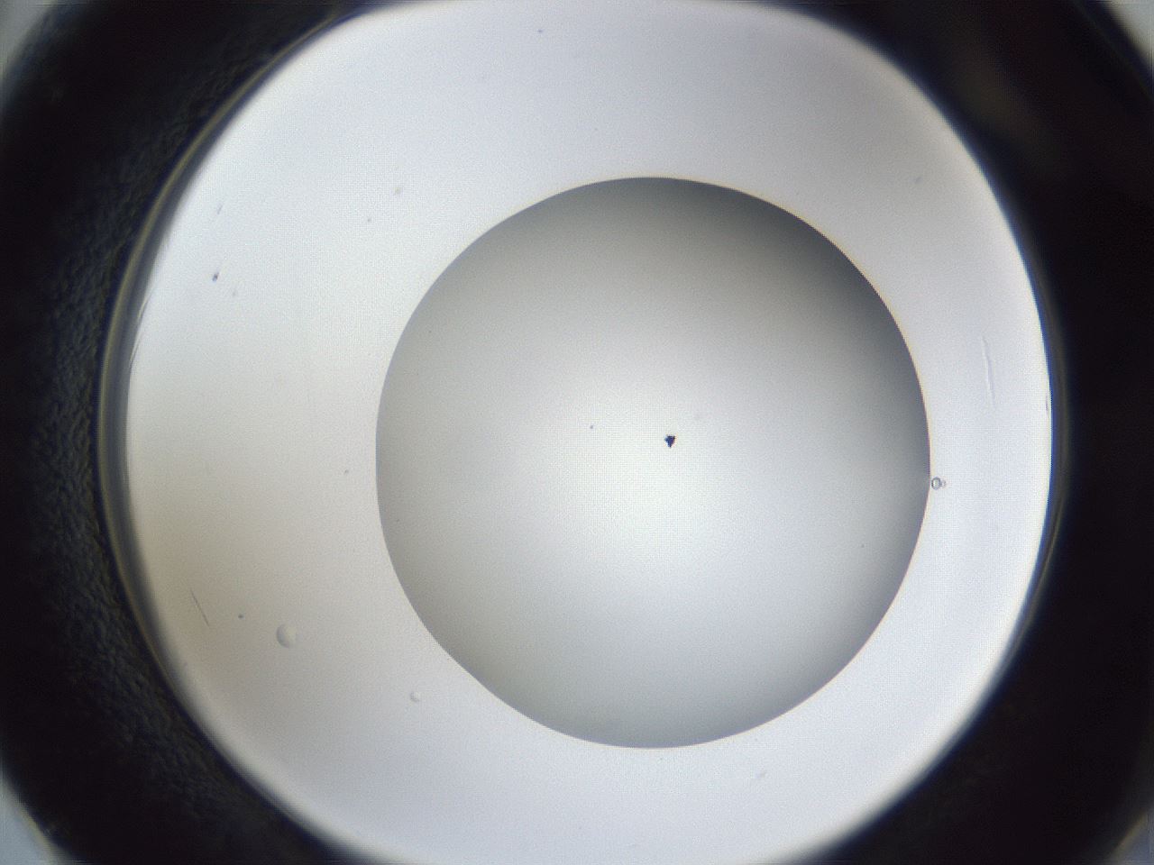 folderID42_plateID1042_batchID2099_wellNum62_profileID1_d2_r45891_ef.jpg