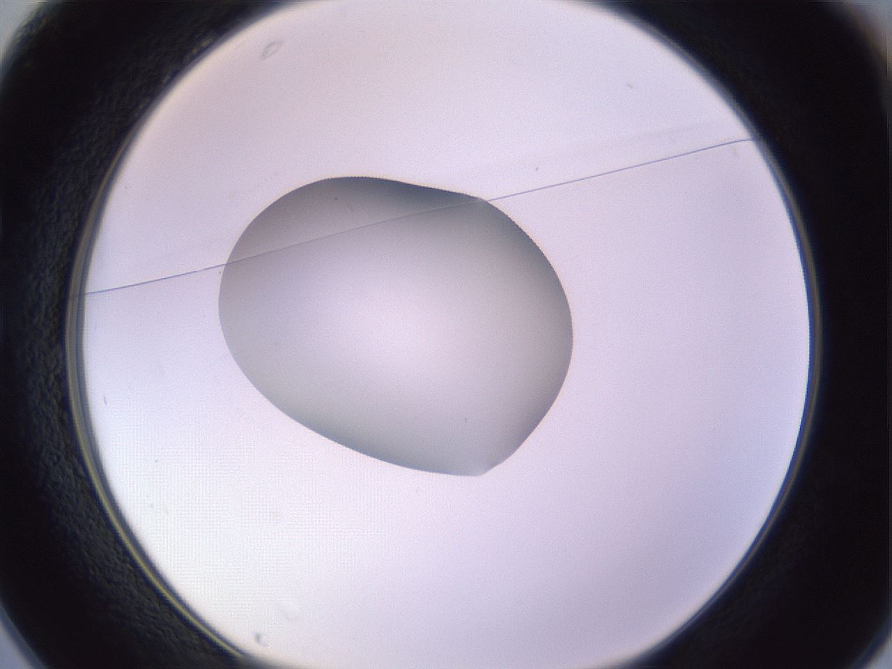 folderID423_plateID1423_batchID5198_wellNum25_profileID1_d1_r87498_ef.jpg