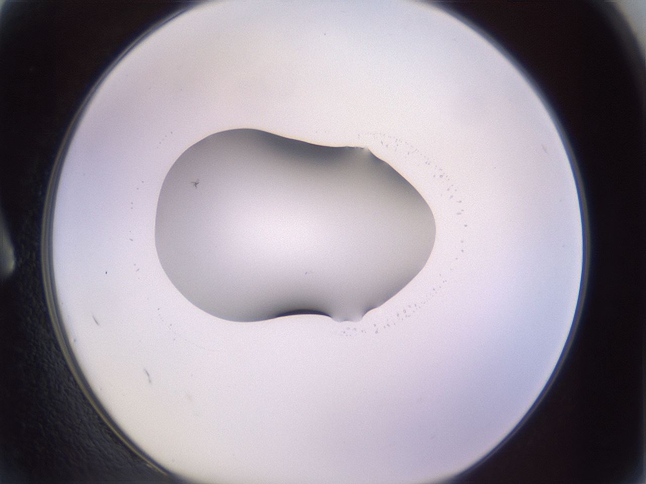 folderID423_plateID1423_batchID5198_wellNum2_profileID1_d1_r87475_ef.jpg