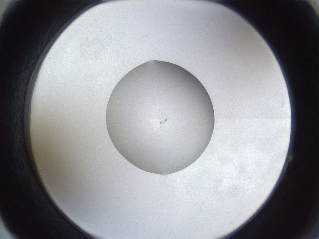 folderID42_plateID1042_batchID2099_wellNum64_profileID1_d2_r45895_ef.jpg