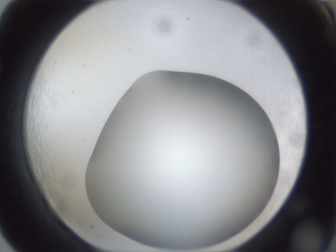 folderID42_plateID1042_batchID2099_wellNum65_profileID1_d1_r45896_ef.jpg