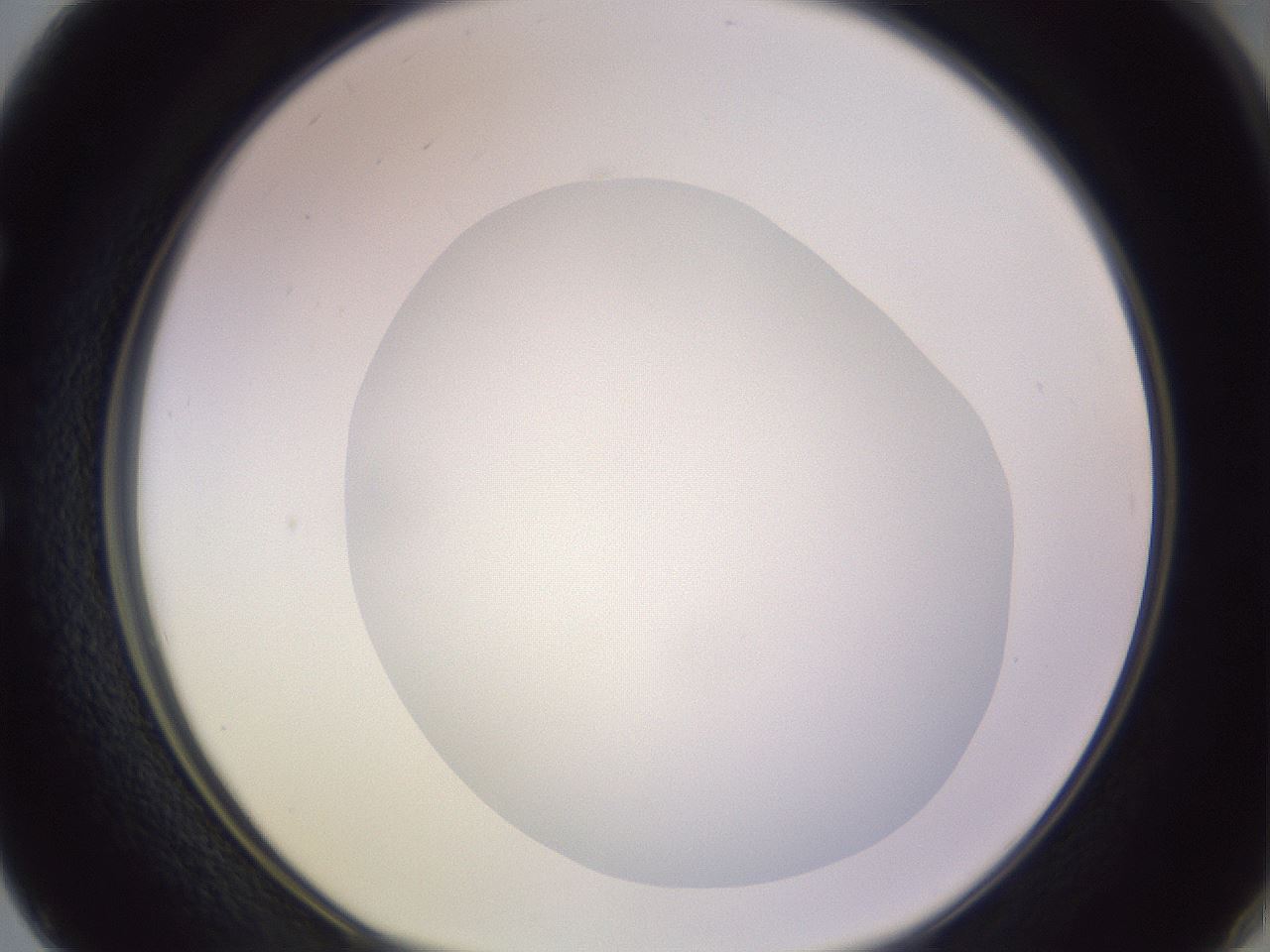 folderID423_plateID1423_batchID5198_wellNum50_profileID1_d1_r87523_ef.jpg
