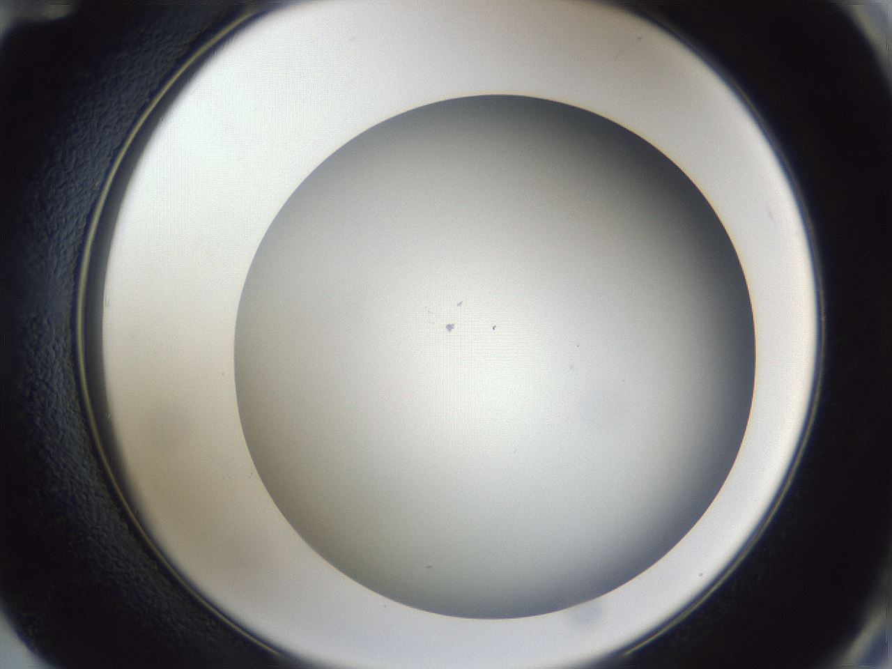 folderID42_plateID1042_batchID2099_wellNum72_profileID1_d2_r45911_ef.jpg