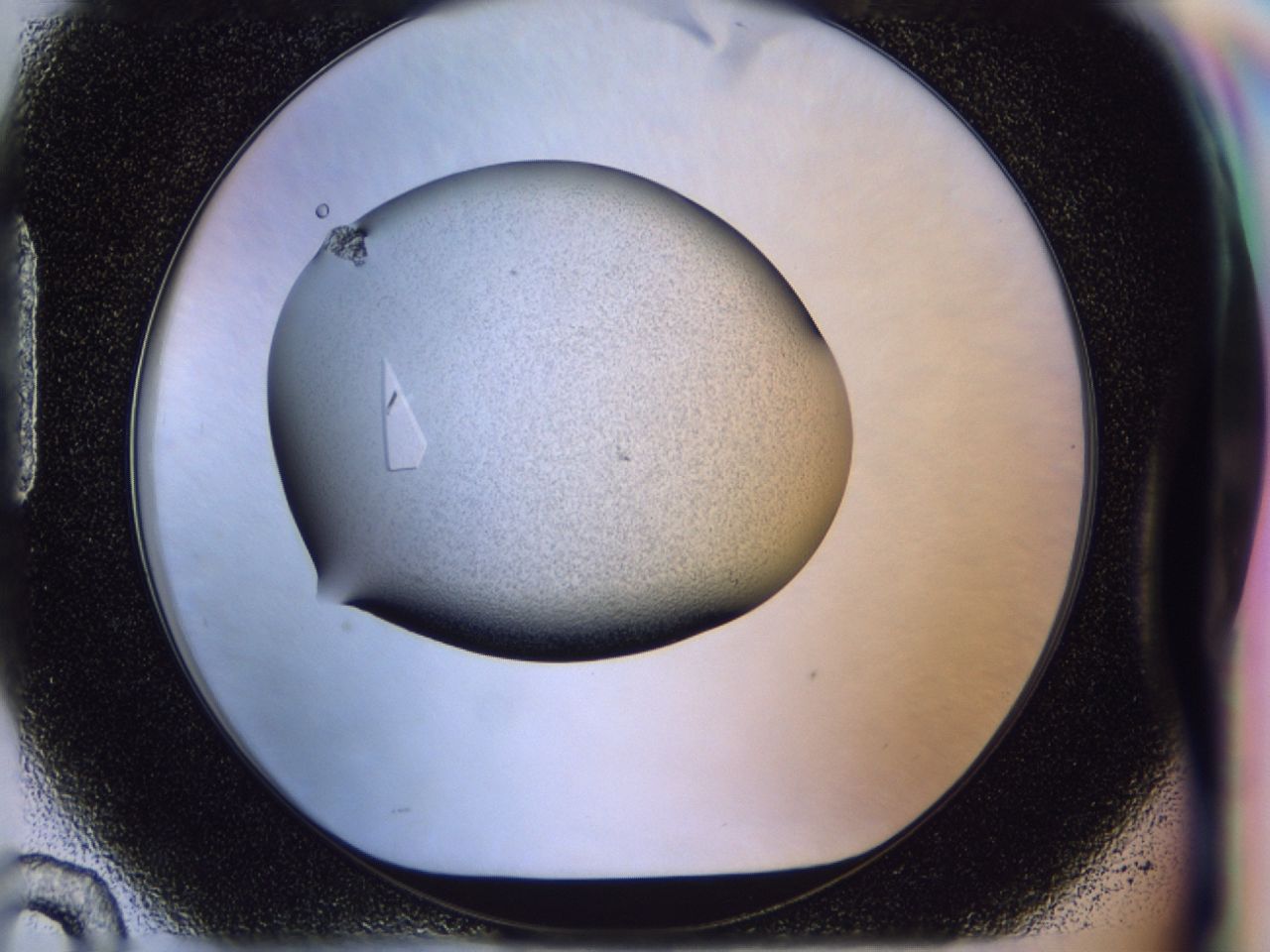 02n3_H10_ImagerDefaults_9.jpg
