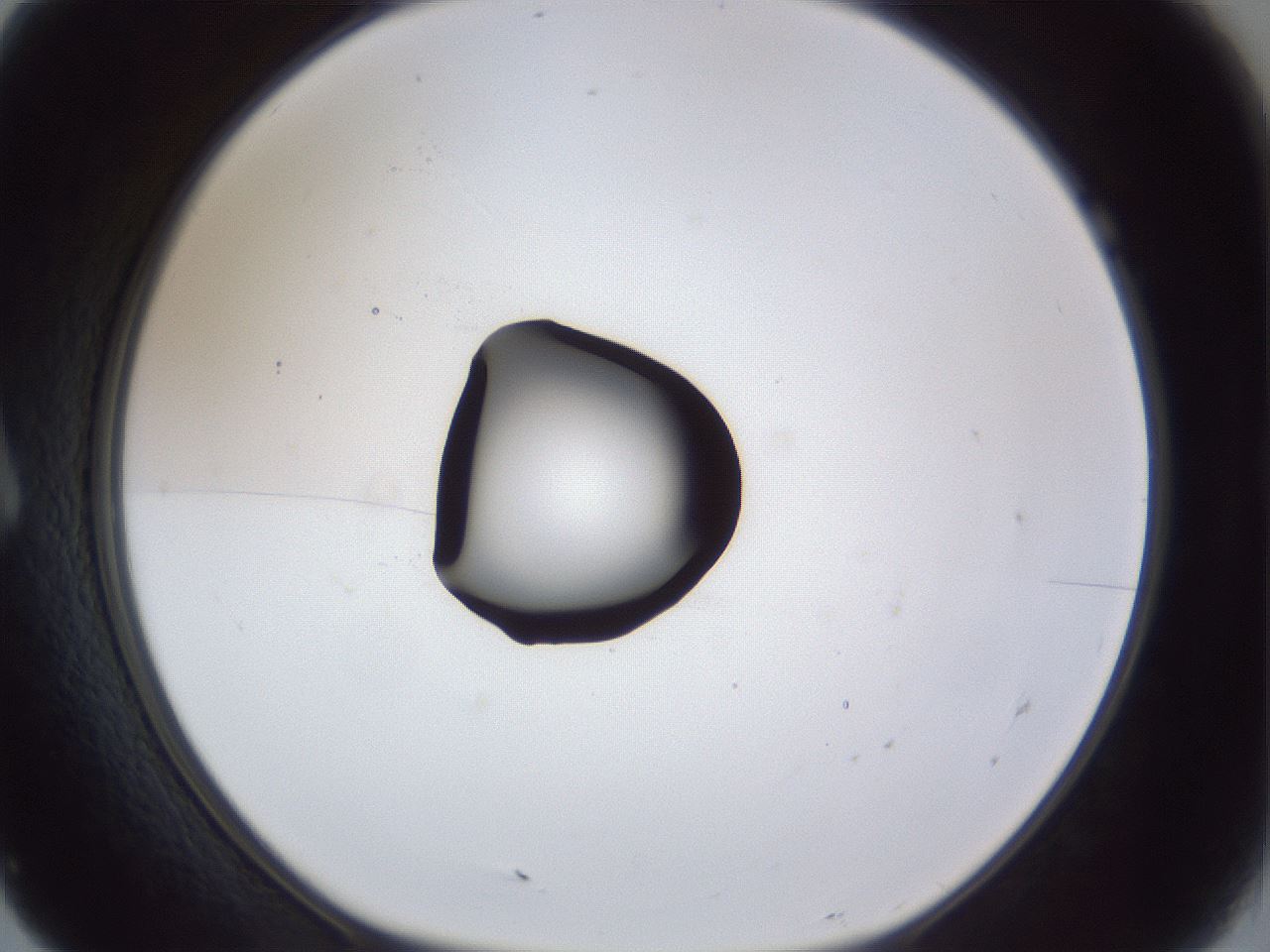 folderID42_plateID1042_batchID2099_wellNum7_profileID1_d1_r45780_ef.jpg