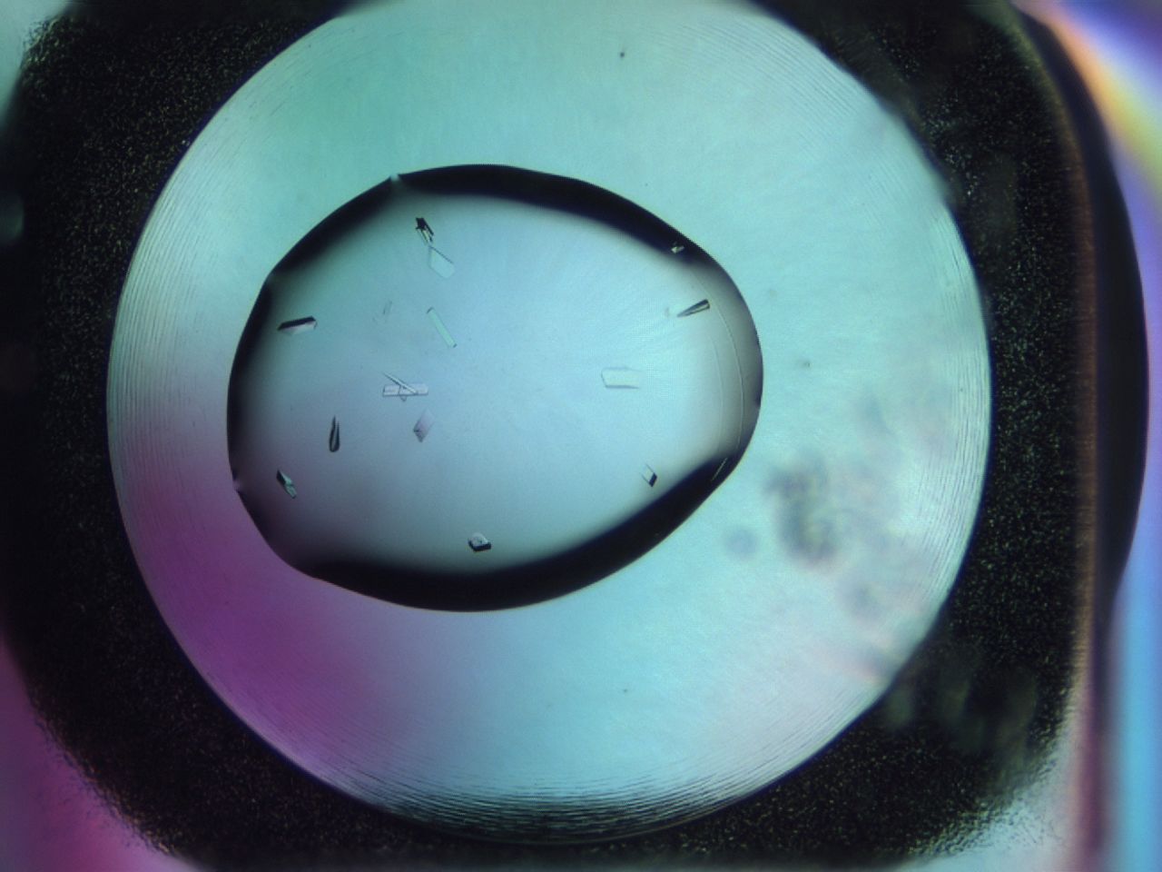 02n3_F5_ImagerDefaults_9.jpg
