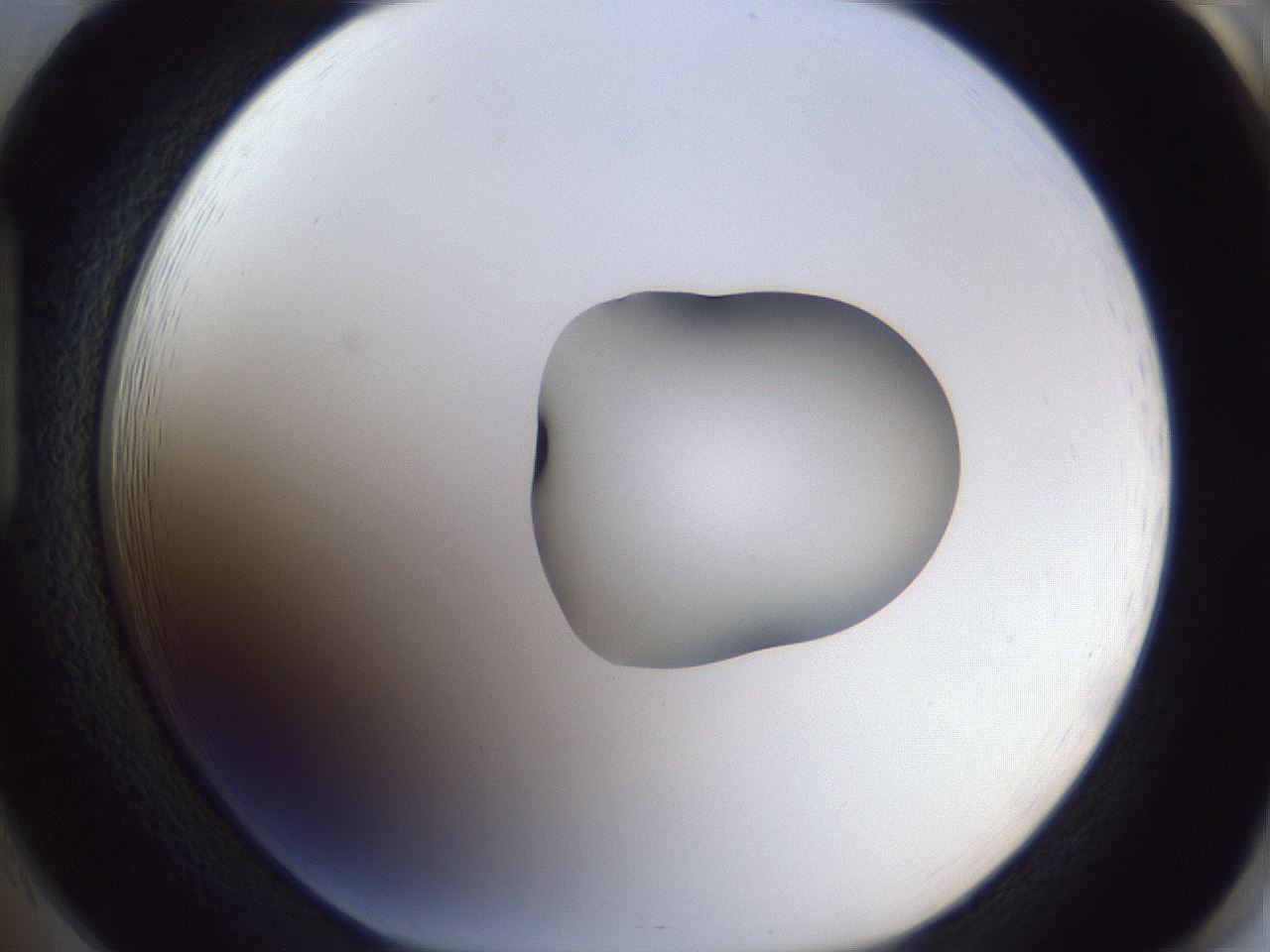 folderID42_plateID1042_batchID2099_wellNum85_profileID1_d1_r45936_ef.jpg