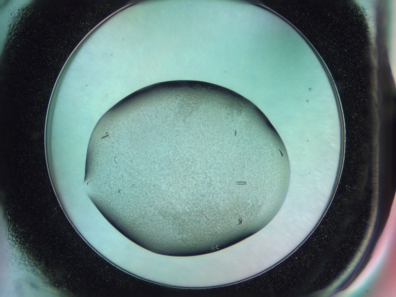 02n3_A3_ImagerDefaults_9.jpg