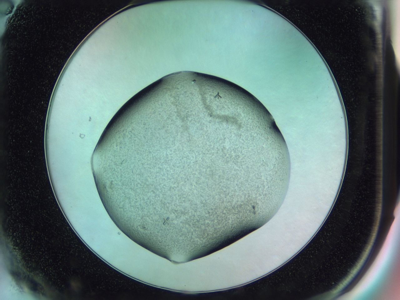 02n3_A2_ImagerDefaults_9.jpg