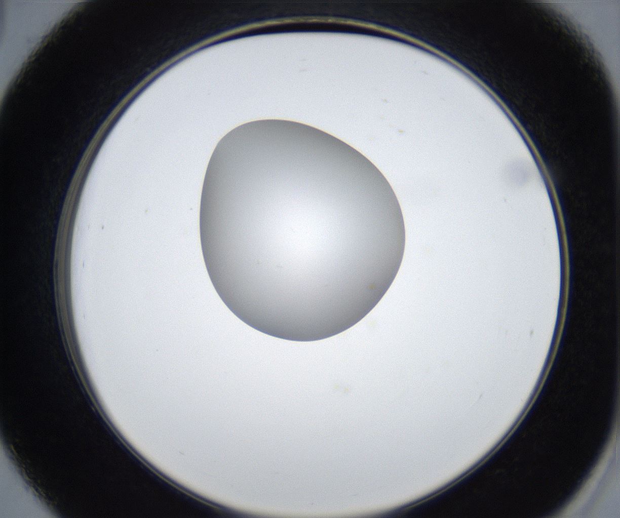 folderID423_plateID2423_batchID11617_wellNum39_profileID1_d2_r180109_ef.jpg