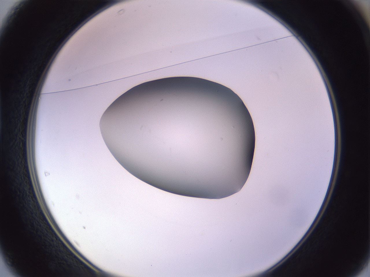 folderID423_plateID1423_batchID5198_wellNum37_profileID1_d1_r87510_ef.jpg