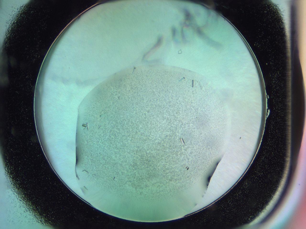 02n3_A1_ImagerDefaults_9.jpg