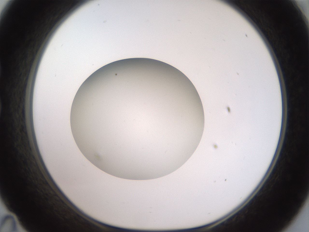 folderID42_plateID2042_batchID9007_wellNum35_profileID1_d1_r137819_ef.jpg
