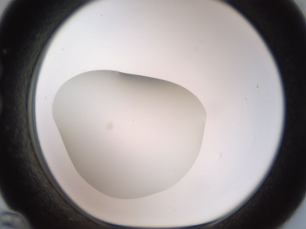 folderID42_plateID2042_batchID9007_wellNum36_profileID1_d1_r137821_ef.jpg