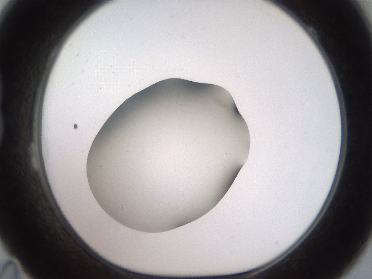 folderID42_plateID2042_batchID9007_wellNum23_profileID1_d1_r137795_ef.jpg