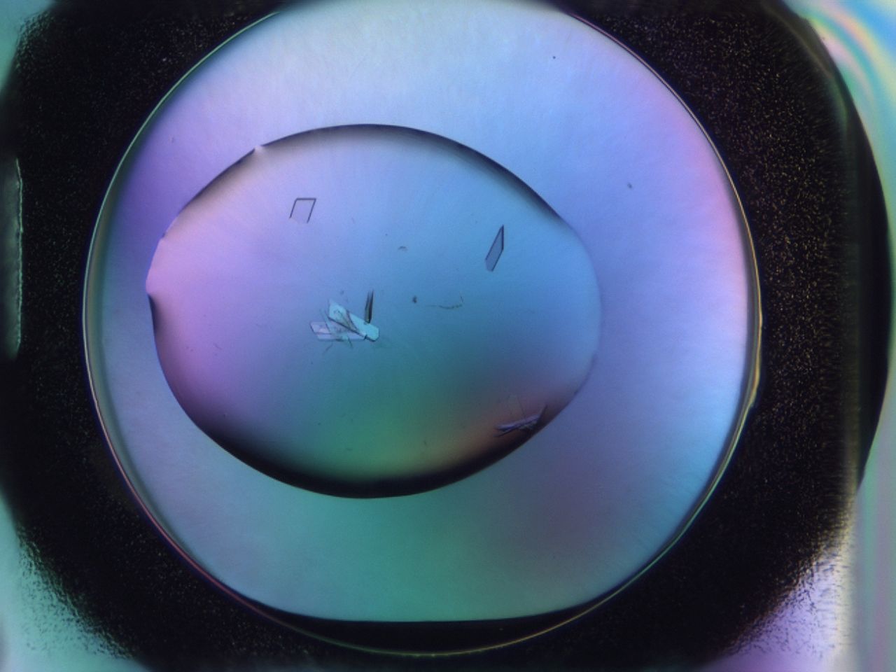 02n3_H3_ImagerDefaults_9.jpg
