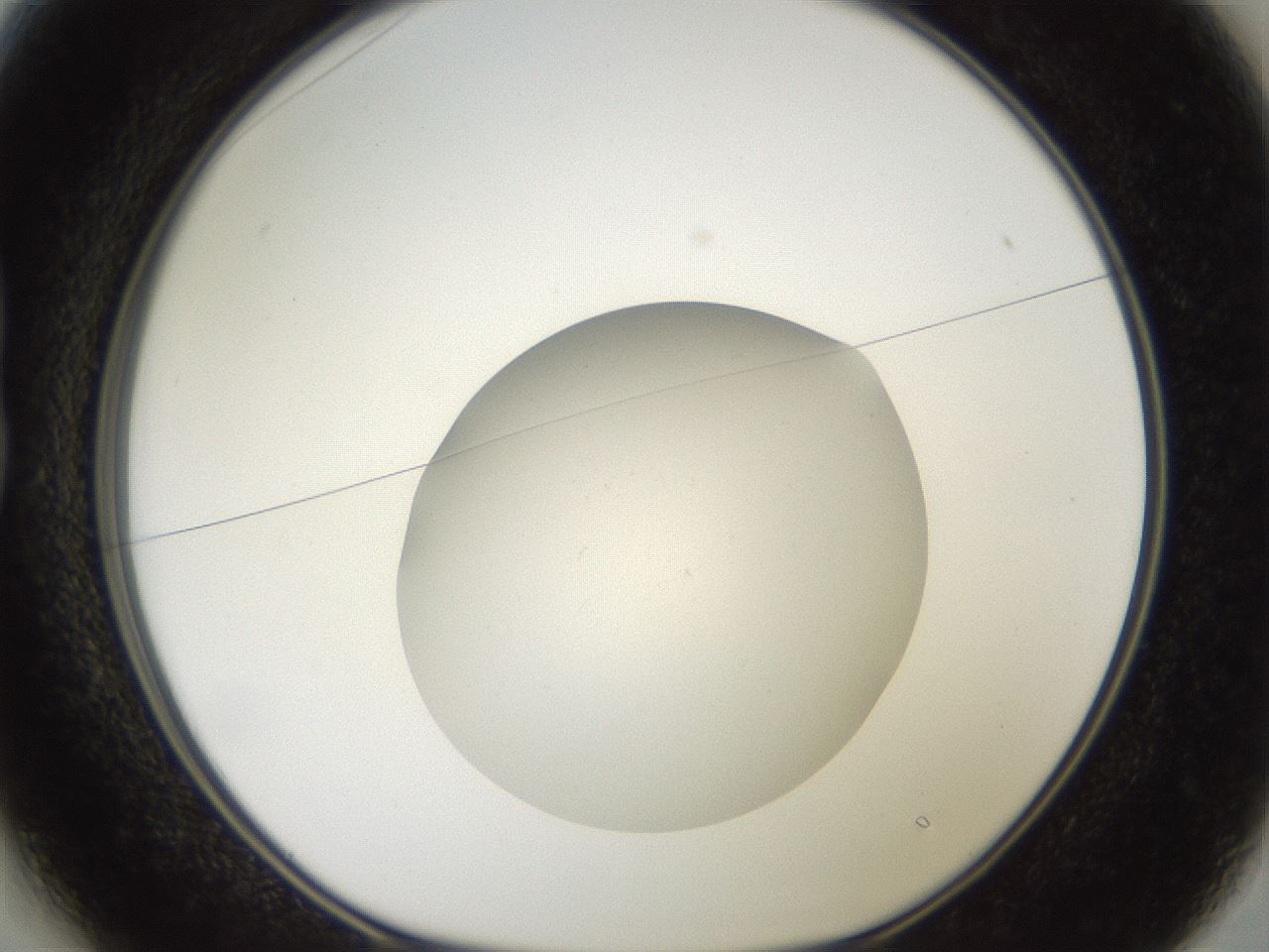 folderID42_plateID2042_batchID9007_wellNum13_profileID1_d1_r137775_ef.jpg