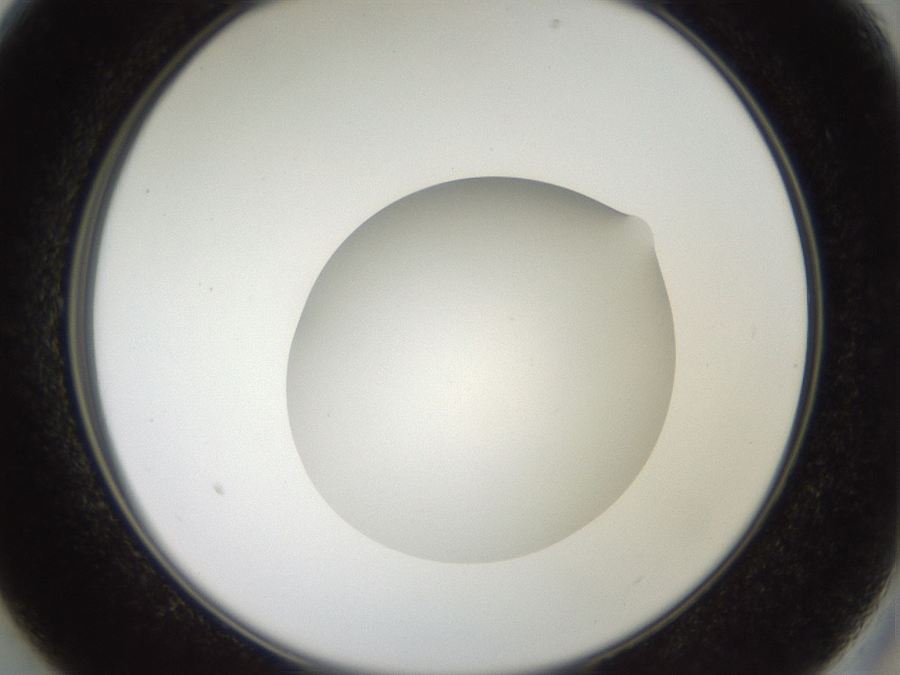 folderID42_plateID2042_batchID9007_wellNum13_profileID1_d2_r137776_ef.jpg