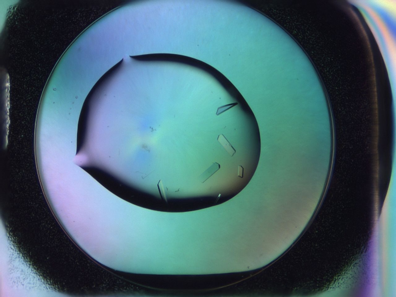02n3_H4_ImagerDefaults_9.jpg