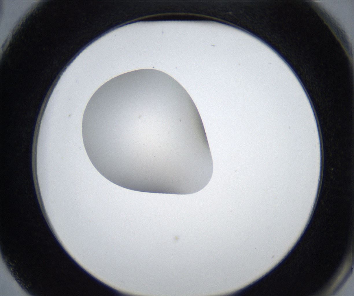 folderID423_plateID2423_batchID11617_wellNum75_profileID1_d2_r180181_ef.jpg