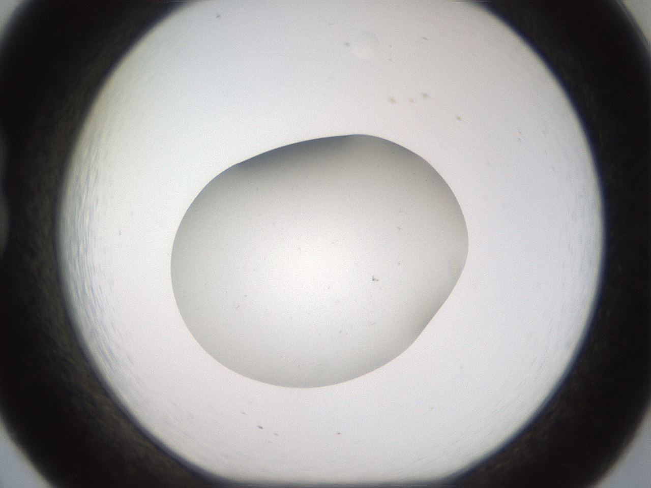 folderID42_plateID2042_batchID9007_wellNum20_profileID1_d1_r137789_ef.jpg