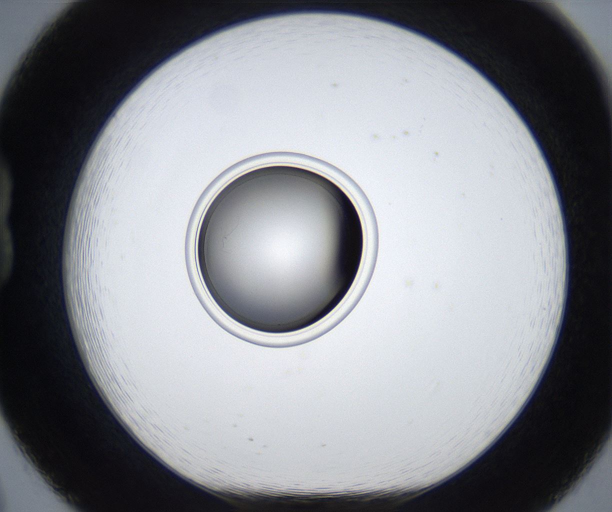 folderID423_plateID2423_batchID11664_wellNum20_profileID1_d1_r180070_ef.jpg