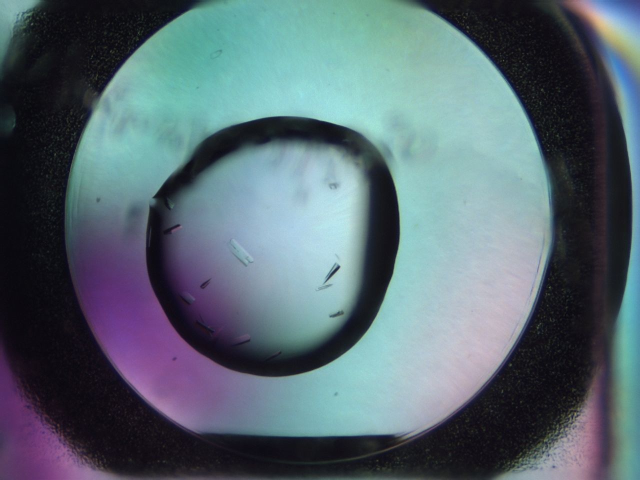 02n3_F6_ImagerDefaults_9.jpg