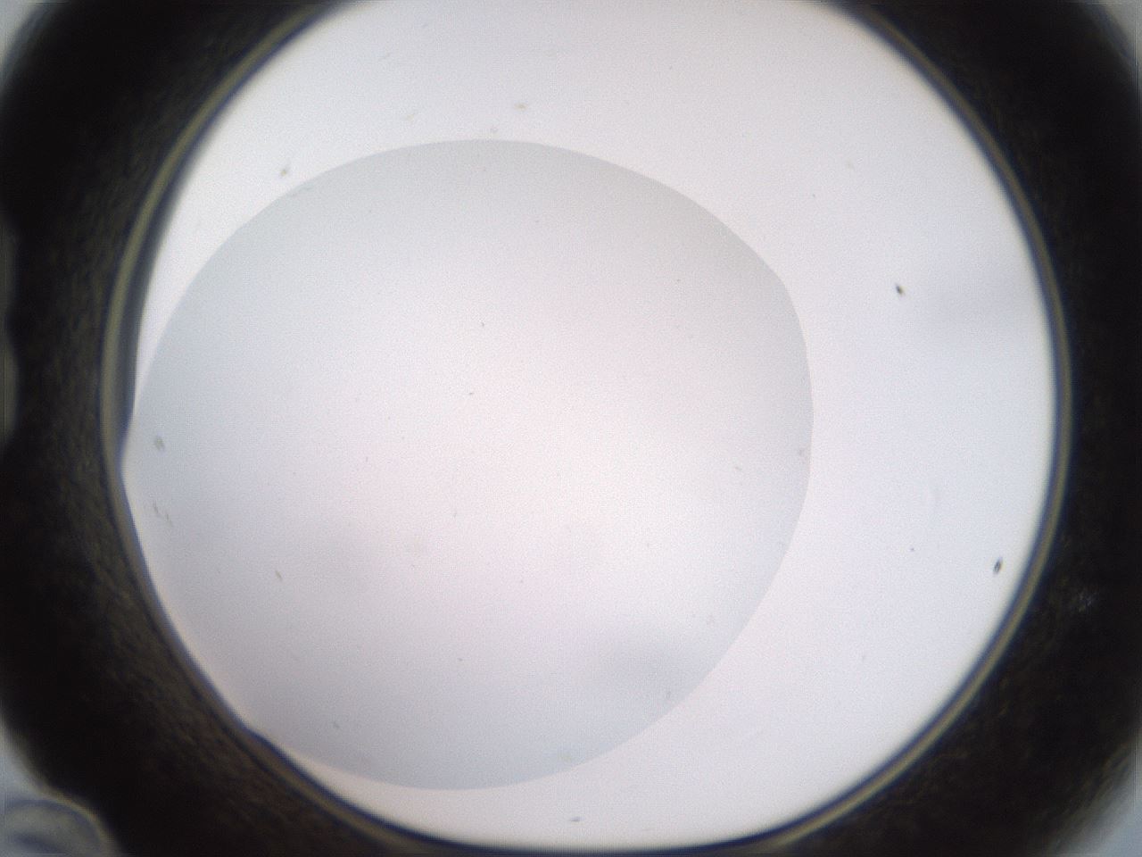 folderID42_plateID2042_batchID9007_wellNum24_profileID1_d1_r137797_ef.jpg