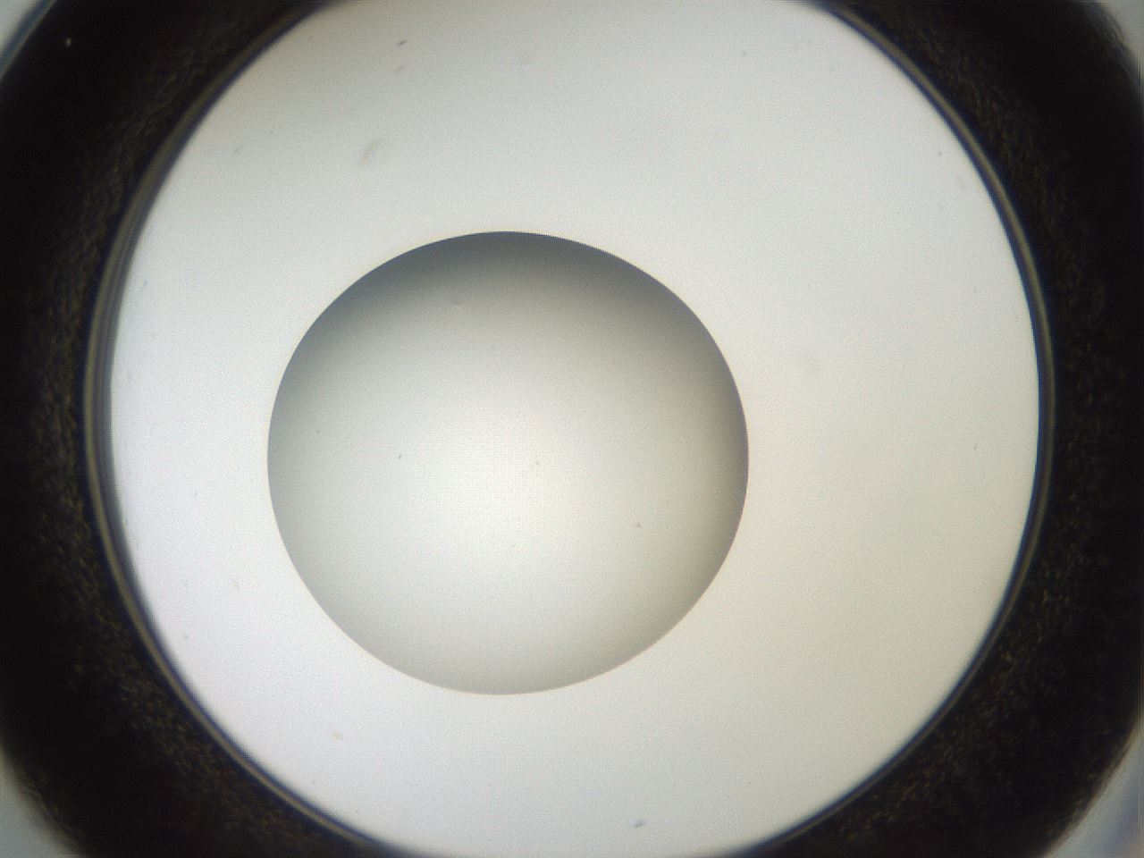 folderID42_plateID2042_batchID9007_wellNum25_profileID1_d2_r137800_ef.jpg