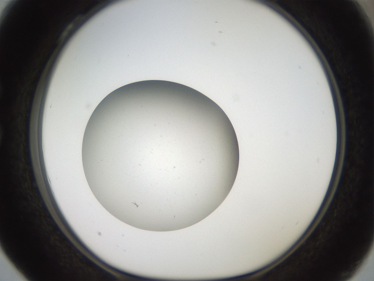 folderID42_plateID2042_batchID9007_wellNum28_profileID1_d1_r137805_ef.jpg