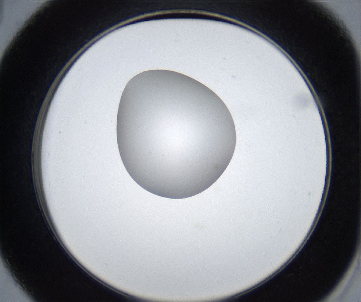 folderID423_plateID2423_batchID11664_wellNum39_profileID1_d2_r180109_ef.jpg