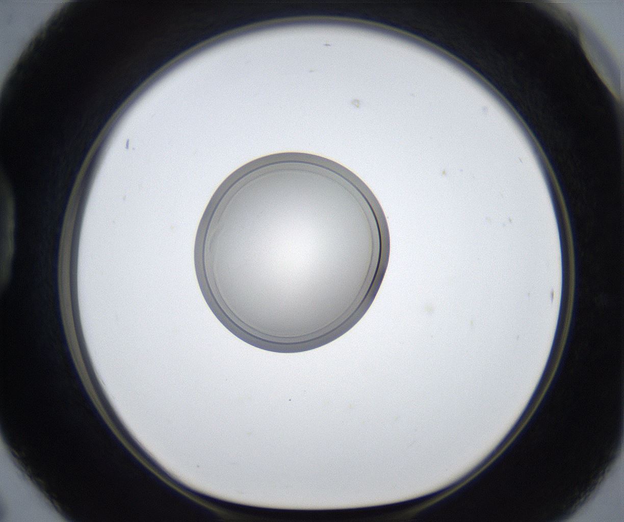 folderID423_plateID2423_batchID11664_wellNum42_profileID1_d1_r180114_ef.jpg