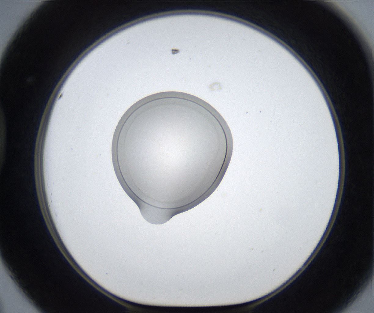 folderID423_plateID2423_batchID11664_wellNum44_profileID1_d1_r180118_ef.jpg
