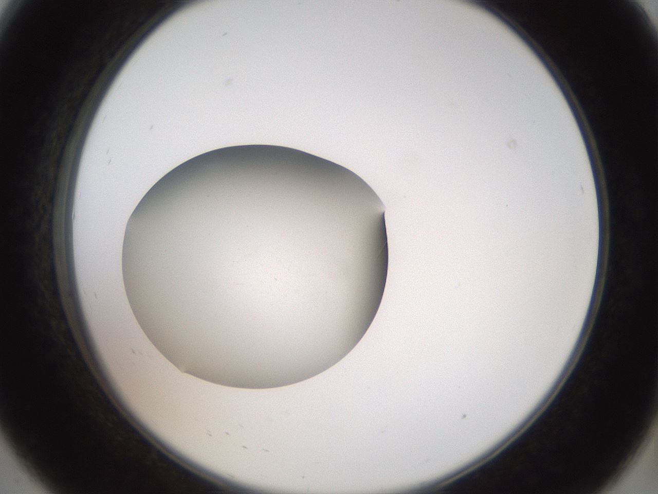 folderID42_plateID2042_batchID9007_wellNum8_profileID1_d2_r137766_ef.jpg