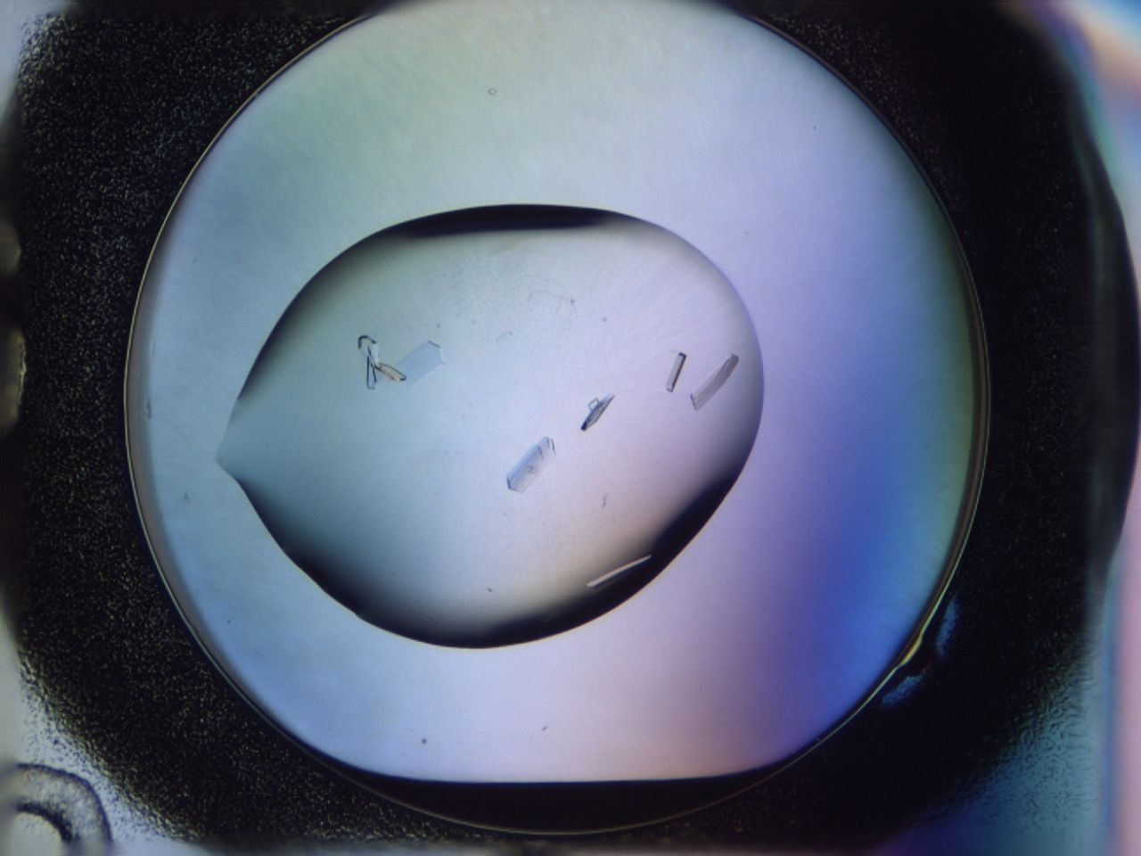 02n3_G10_ImagerDefaults_9.jpg