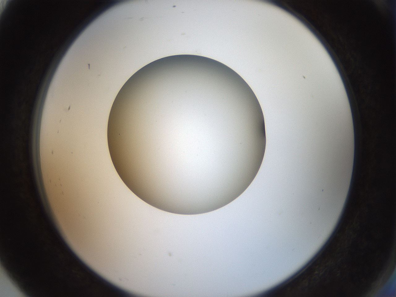 folderID42_plateID2042_batchID9007_wellNum91_profileID1_d2_r137932_ef.jpg