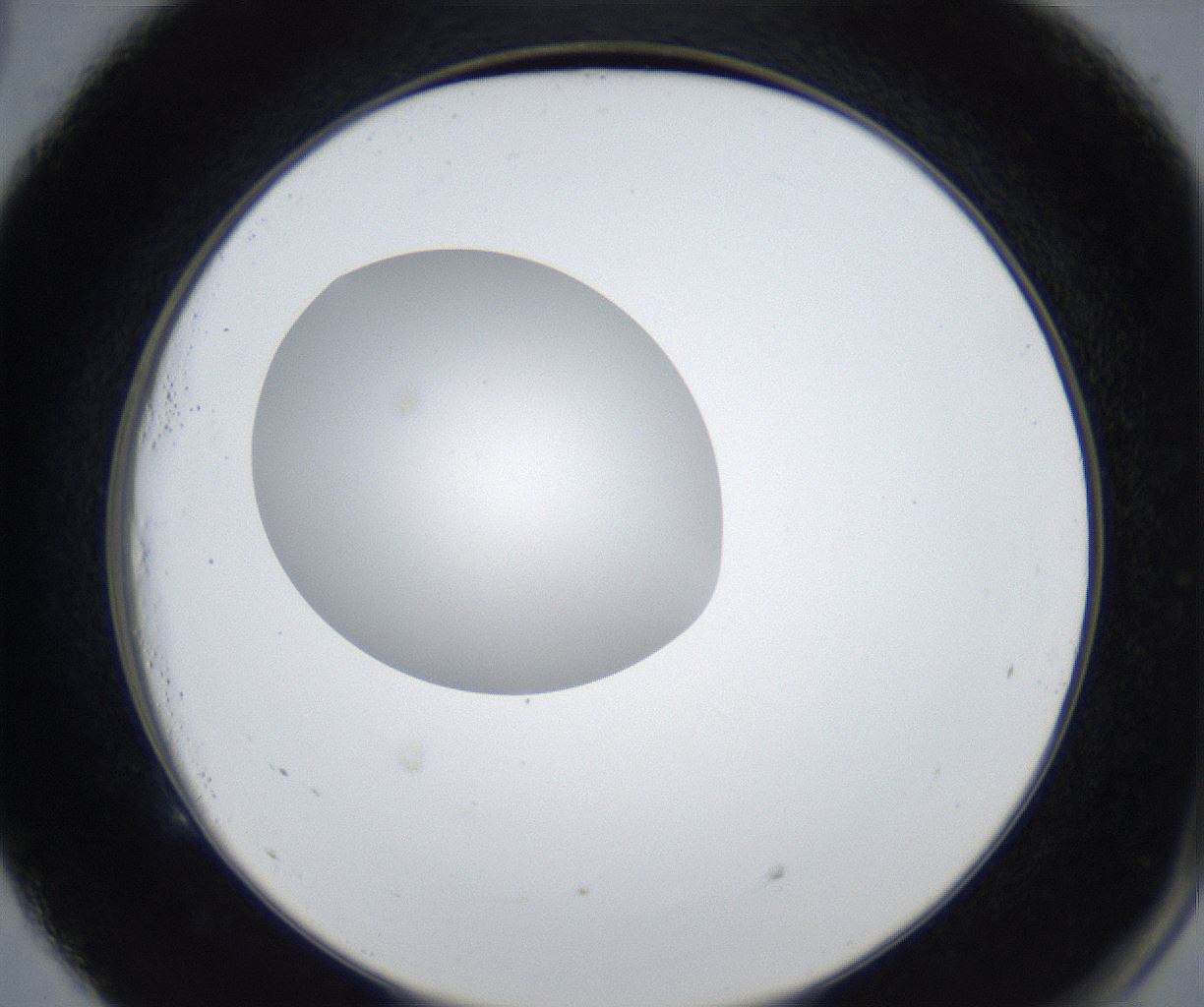 folderID423_plateID2423_batchID11664_wellNum53_profileID1_d2_r180137_ef.jpg