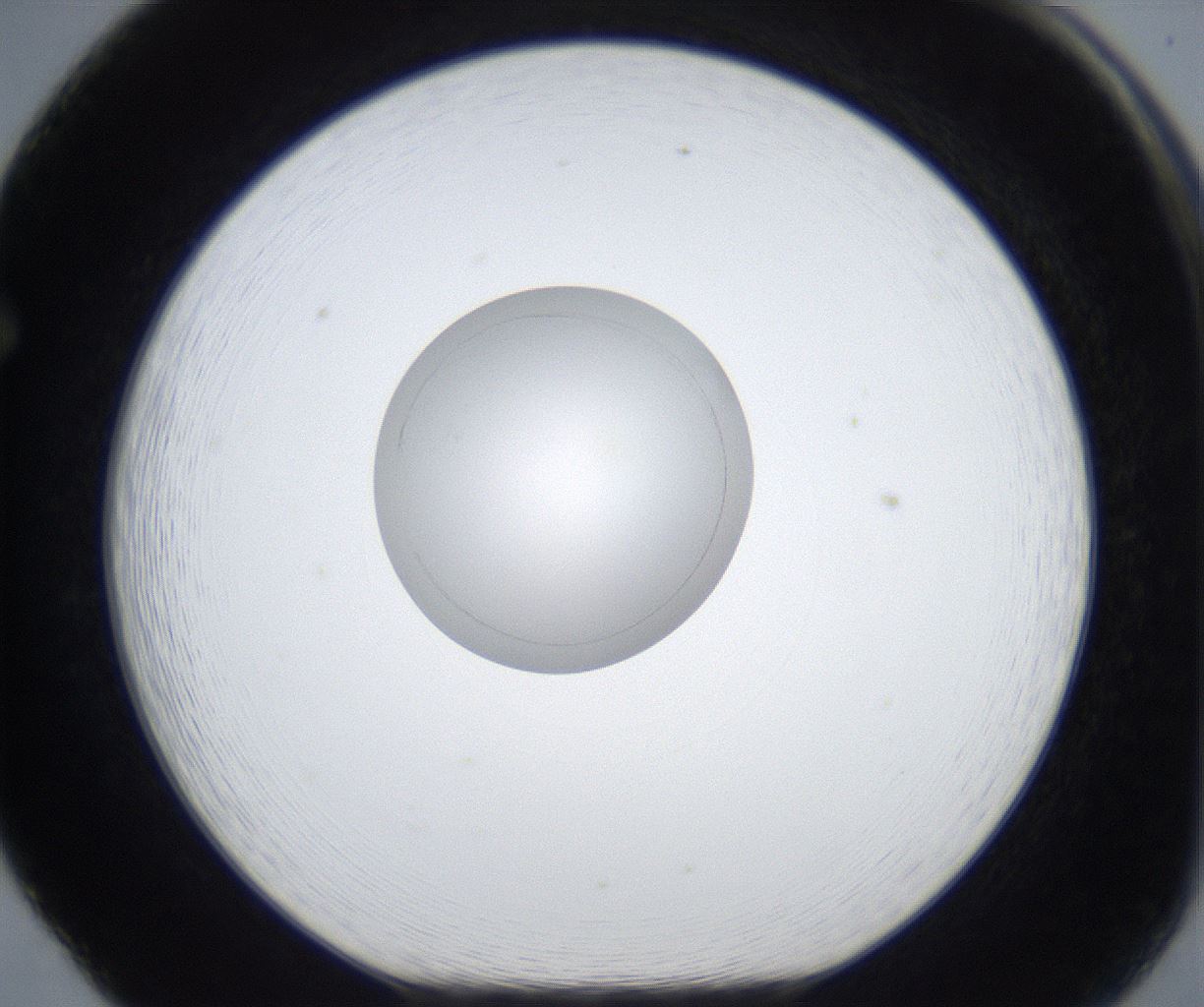 folderID423_plateID2423_batchID11664_wellNum65_profileID1_d1_r180160_ef.jpg