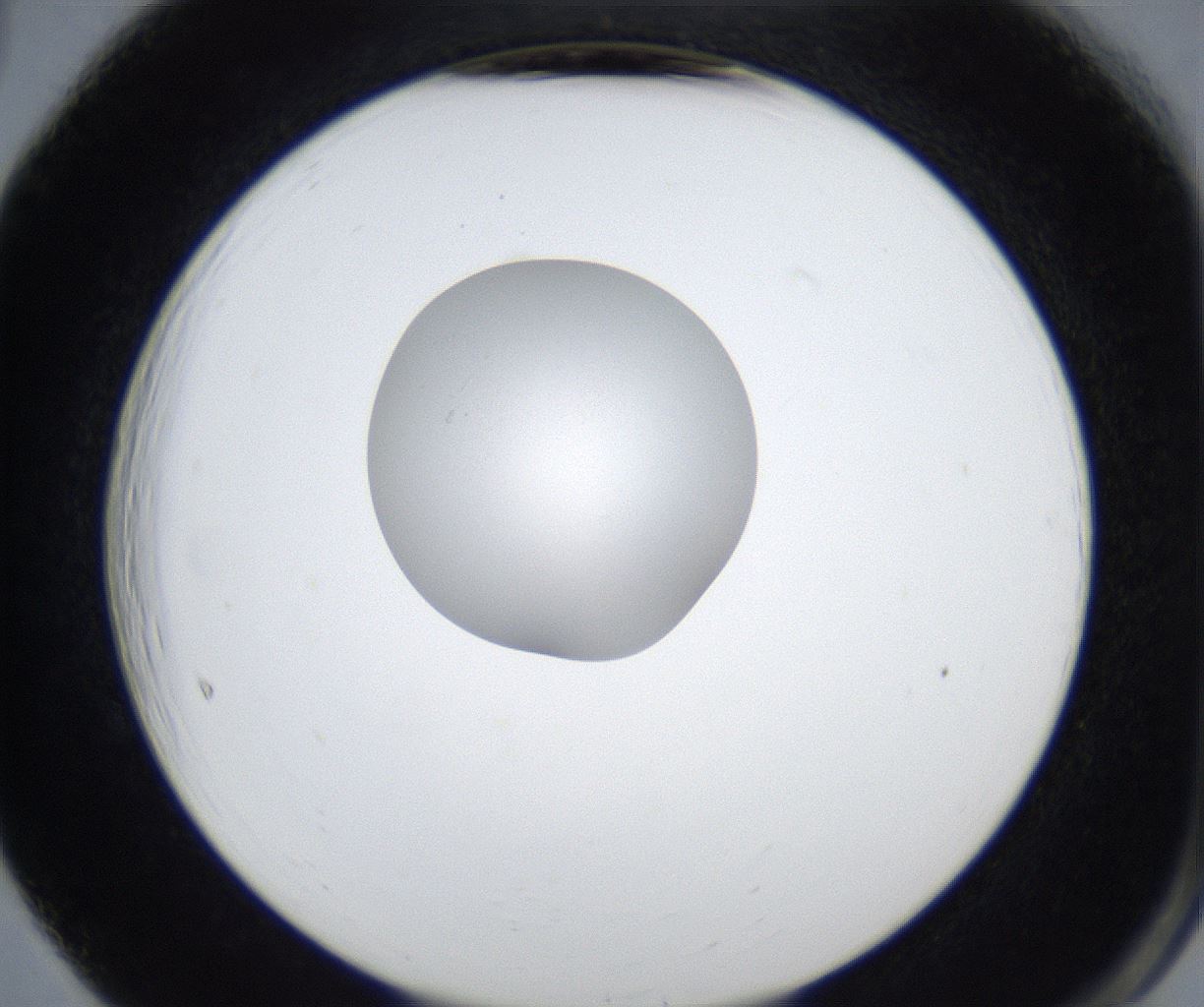 folderID423_plateID2423_batchID11664_wellNum65_profileID1_d2_r180161_ef.jpg