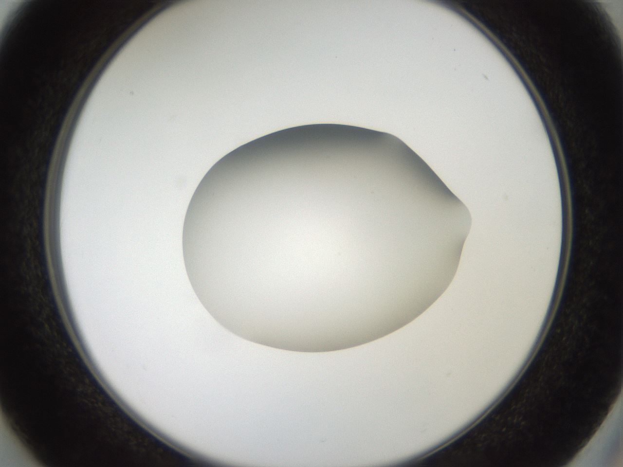 folderID42_plateID2042_batchID9007_wellNum37_profileID1_d2_r137824_ef.jpg