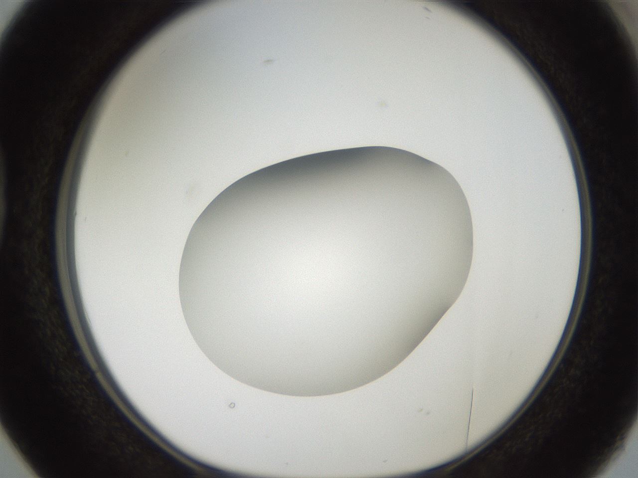 folderID42_plateID2042_batchID9007_wellNum38_profileID1_d1_r137825_ef.jpg