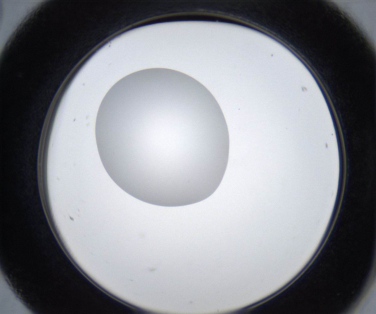 folderID423_plateID2423_batchID11664_wellNum68_profileID1_d2_r180167_ef.jpg