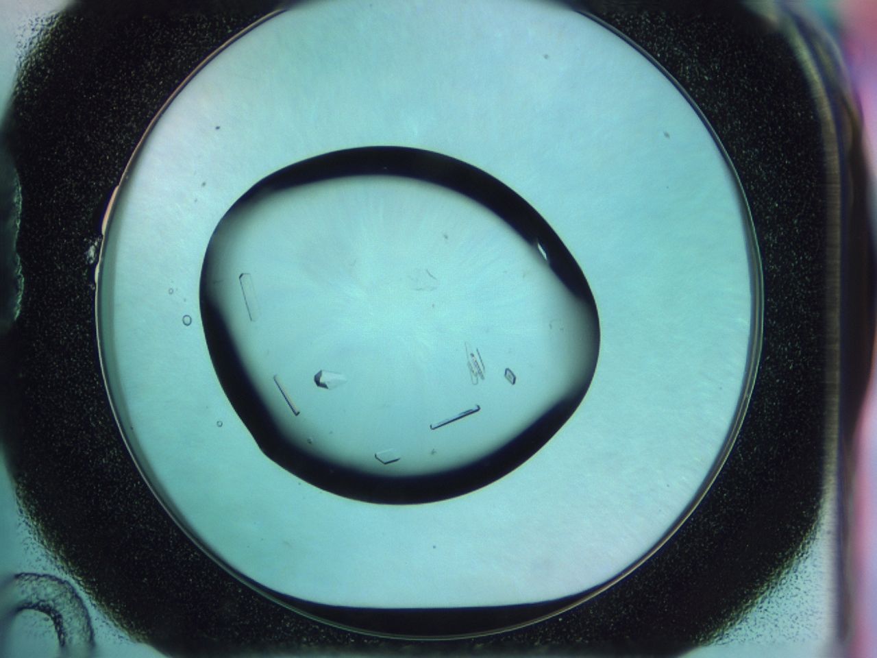 02n3_B10_ImagerDefaults_9.jpg